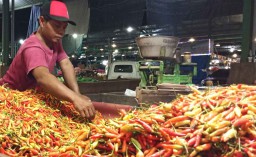 Hari Ketujuh Ramadan, Harga Berbagai Jenis Cabai di PIOS Kembali Turun