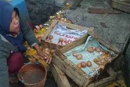 Gemetar Terkena Razia, PKL ini Senggol Telur Jualannya Sendiri hingga Pecah