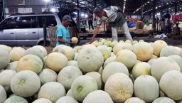 Melon Segar Manis Penuhi Lapak Pedagang PIOS