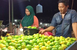 Petani Panen, Harga Jeruk Nipis di PIOS Turun
