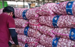 Mulai Menggeliat, Pedagang Bawang Putih di PIOS Kembali Suplai ke Balikpapan