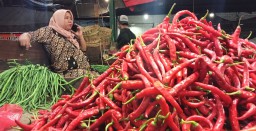 Harga Cabai di PIOS Turun Pascalebaran Idul Fitri 2021