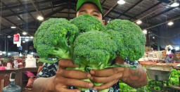 Harga Brokoli di PIOS Diprediksi Akan Kembali Stabil