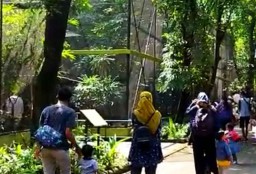 Libur Hari Pancasila, Ribuan Pengunjung Serbu KBS