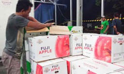 Pedagang PIOS Sediakan Apel Impor Aneka Merek untuk Memudahkan Pembeli