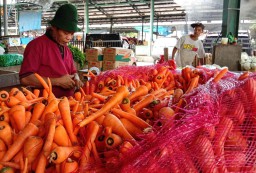 Stok Sayur Segar di PIOS Saat PPKM Darurat Melimpah Tapi Konsumen Berkurang