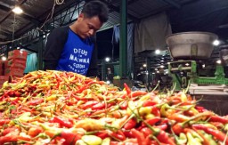 Selepas Idul Adha, Harga Cabai Rawit di PIOS Berangsur Turun