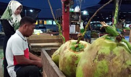 Diyakini Cegah Efek Samping dari Vaksin Covid-19, Air Kelapa Muda Ada di PIOS