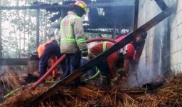Terbakar Selama 26 Jam, Pabrik Tusuk Sate di Malang Ludes