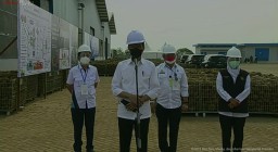 Kunjungi Madiun, Presiden Minta Tahun 2022 Porang Bisa Jadi Pengganti Beras