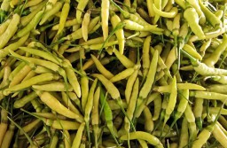 Petani Belum Panen, Harga Cabai Hijau Lalapan di PIOS Merangkak Naik