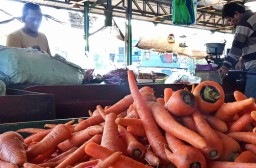 Pasokan Komoditi Lancar, Pelanggan PIOS Alami Peningkatan