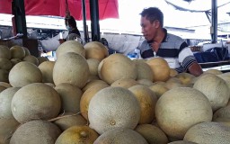 Buah Melon dari Berbagai Daerah di Jatim Penuhi Lapak Pedagang PIOS