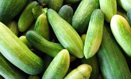 Jadi Favorit Warung Penyetan, Mentimun Lalap di PIOS Penuhi Pasar Tradisional