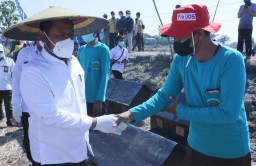 Gagal Panen Akibat Hama Tikus, Petani di Gresik Mengadu ke Bupati