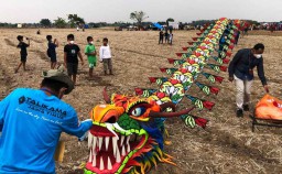 Festival Layang-layang Raksasa di Gresik, Tradisi Petani Setelah Panen