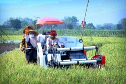 Mengintip Langkah Pemkab Gresik Antisipasi Banjir Kali Lamong