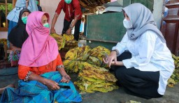 Ipuk-Sugirah Siapkan Dua Program untuk Kembangkan Pertanian Banyuwangi
