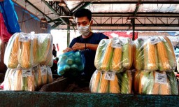 Penjualan Jagung Manis PIOS Tetap Stabil di Masa Pandemi Covid-19