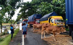 Banjir di Madiun, Akses ke Ngawi Putus