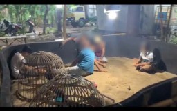 Arena Judi Sabung Ayam di Mojokerto Digerebek, Lima Orang Ditangkap
