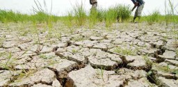 Antisipasi Kemarau, BPBD Petakan Daerah Rawan Kekeringan di Bojonegoro