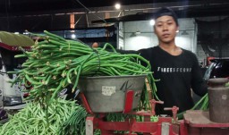 Kacang Panjang Segar di PIOS Jadi Favorit Para Pedagang Pasar Tradisional