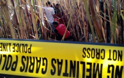 Buruh Perkebunan Tebu di Magetan Tewas Terpanggang Api