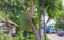 Seorang Kakek Tewas Tersengat Aliran Listrik saat Memotong Pohon
