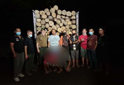 Pengiriman Kayu Jati Ilegal dari Banyuwangi ke Pasuruan Digagalkan