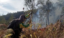 Kebakaran di Hutan Curah Seriti Gunung Arjuno Berhasil Dipadamkan