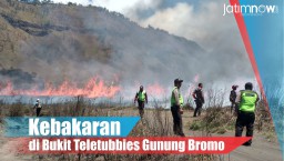 Video: Kebakaran di Bukit Teletubbies Gunung Bromo