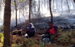 Kebakaran Hutan di Gunung Lawu Padam, Jalur Pendakian Masih Ditutup