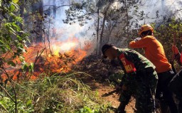 Kebakaran Gunung Panderman Meluas, 250 Orang Dikerahkan Padamkan Api