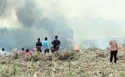 Ladang Tebu di Mojokerto Terbakar, Satu Truk Hangus dan Sopir Terluka
