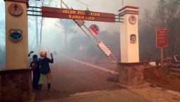 Kebakaran di Kawasan Gunung Ijen Capai 500 Hektar