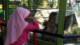 Libur Lebaran 2019, Kebun Binatang Mini Probolinggo Sepi Pengunjung