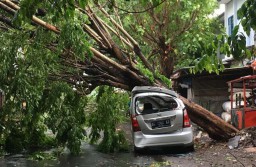Hujan Angin di Kediri, Sejumlah Kendaraan Rusak Tertimpa Pohon