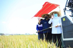 Khofifah Pastikan Jatim Tak Perlu Impor Beras