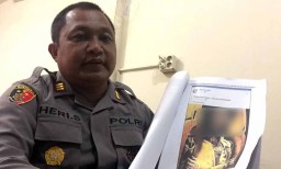 Pemilik Akun FB Penghina Presiden Jokowi Mengaku Hanya Ikut-ikutan