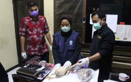 Ini Dampak Bila Ayam Tiren Dikonsumsi Manusia, Kenali Ciri-cirinya!