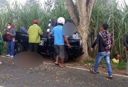 Lima Orang Dilaporkan Tewas dalam Kecelakaan Pikap di Malang