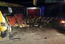 Truk Bermuatan Ayam Potong Terguling di Ponorogo, Sopir Tewas