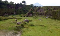 Menikmati Keindahan Alam Lembah Dieng di Gempol, Pasuruan