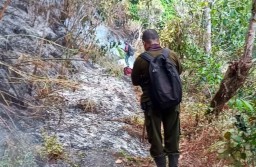 Tiga Hektar Lahan di Lereng Gunung Lawu Terbakar