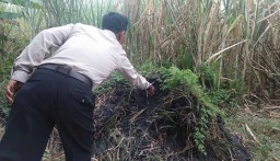 Polisi Ambil Sampel Limbah Diduga B3 yang Lukai Anak di Mojokerto