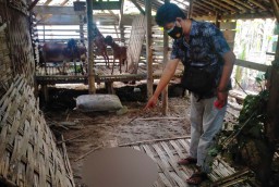Terbakar Cemburu, Pria di Ngawi Tembak dan Bacok Terduga Selingkuhan Istri
