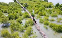Program Restorasi Mangrove Mangare Antarkan Petrokimia Gresik Raih ISDA