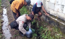 Mayat Bayi Terbungkus Tas Plastik Ditemukan di Pasuruan