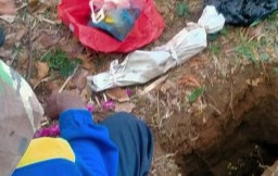 Geger Penemuan Mayat Bayi Terkubur di Kebun Sengon Probolinggo